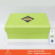 Mẫu hộp Triễn lãm PrintPack2022-NLP012