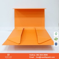 Mẫu hộp Triễn lãm PrintPack2022-NLP011