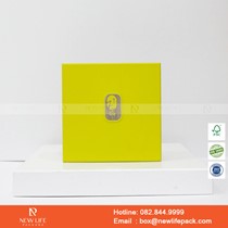 Mẫu hộp Triễn lãm PrintPack2022-NLP010