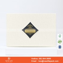 Mẫu hộp Triễn lãm PrintPack2022-NLP007