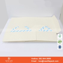 Mẫu hộp Triễn lãm PrintPack2022-NLP007