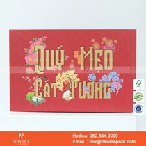 Mẫu hộp Triễn lãm PrintPack2022-NLP005