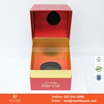 Mẫu hộp Triễn lãm PrintPack2022-NLP004