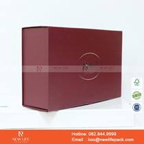 Mẫu hộp Triễn lãm PrintPack2022-NLP003