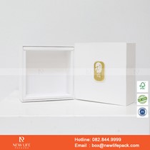 Mẫu hộp Triễn lãm PrintPack2022-NLP002