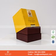 Mẫu Hộp Đông Trùng Hạ Thảo