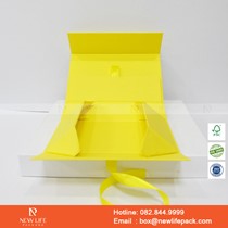 Mẫu hộp Triễn lãm PrintPack2022-NLP026