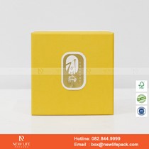 Mẫu hộp Triễn lãm PrintPack2022-NLP025