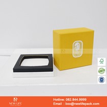 Mẫu hộp Triễn lãm PrintPack2022-NLP025