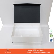 Mẫu hộp Triễn lãm PrintPack2022-NLP024