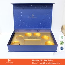 Mẫu hộp Triễn lãm PrintPack2022-NLP023