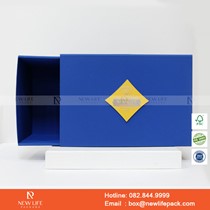 Mẫu hộp Triễn lãm PrintPack2022-NLP021