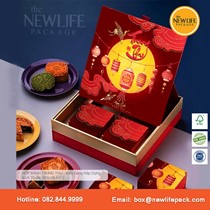 Bộ Hộp Trung Thu 4 Bánh (mã V1) 200gr-250gr - Kiểu Nắp Dựng